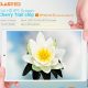 Deals: Teclast X80 Pro Z8350 Dual OS for $87.54. Chuwi Hi13 for $306