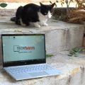 Mi Notebook Air 13 Refresh Review Online
