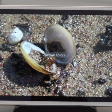 Xiaomi Mi Pad 4