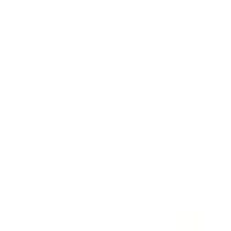Profile picture of Nadia Forde
