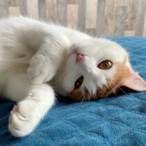 Profile picture of Baly