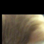 Profile picture of Kerry Sharman
