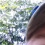 Profile picture of Mike Murley